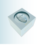 Hello, it's me... - Brow Fixing Gel